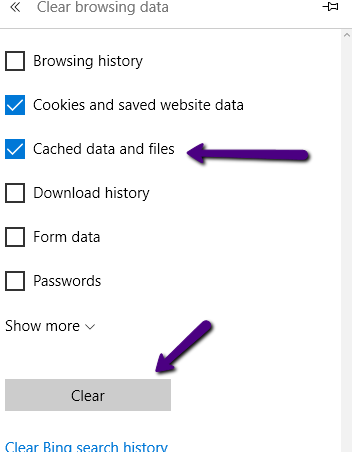 Cached Data and Files Selection Step